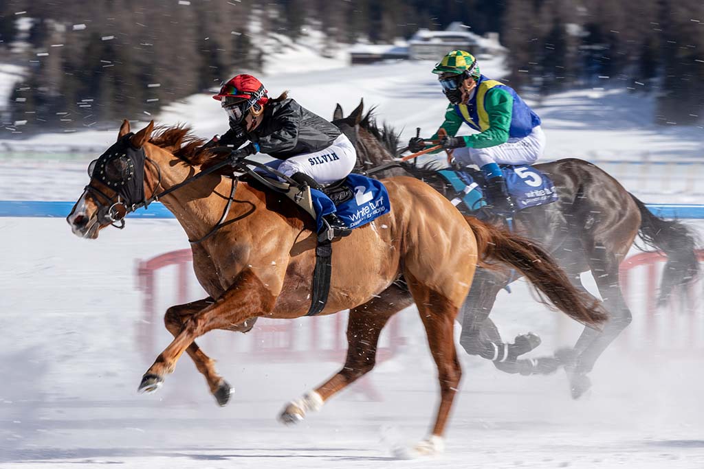 Horse Race in St. Moritz Independent Escort St. Moritz